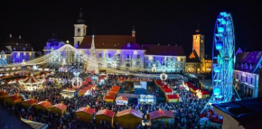 Anemona's House In The Center Of Sibiu